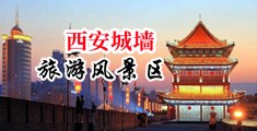 欧美阴茎双插小骚屄中国陕西-西安城墙旅游风景区